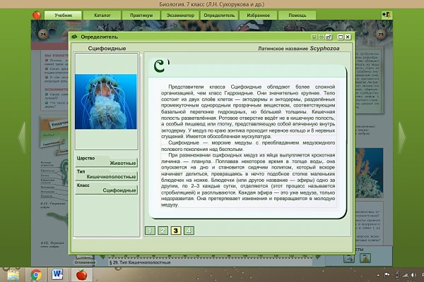 Кракен сайт kr2web in цены