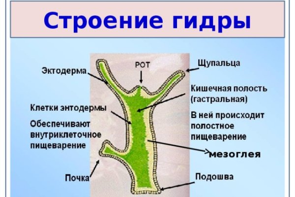 Как зайти на кракен через тор